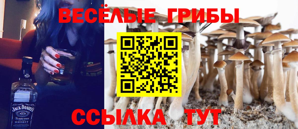 Псилоцибиновые грибы мицелий Лянтор